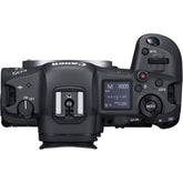 Canon EOS R5 Body (with adapter)